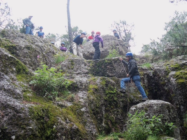  训练有素的工作人员 